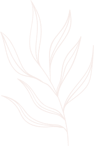 elements-line-drawing-leaves-illustrations-and-art-brushes-7UJ4G2S.png
