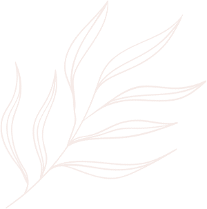 elements-line-drawing-leaves-illustrations-and-art-brushes-7UJ4G2S_2.png
