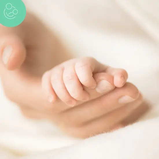 Close-up of a newborn baby hand gently held by an adult, symbolizing love and care in the surrogacy journey